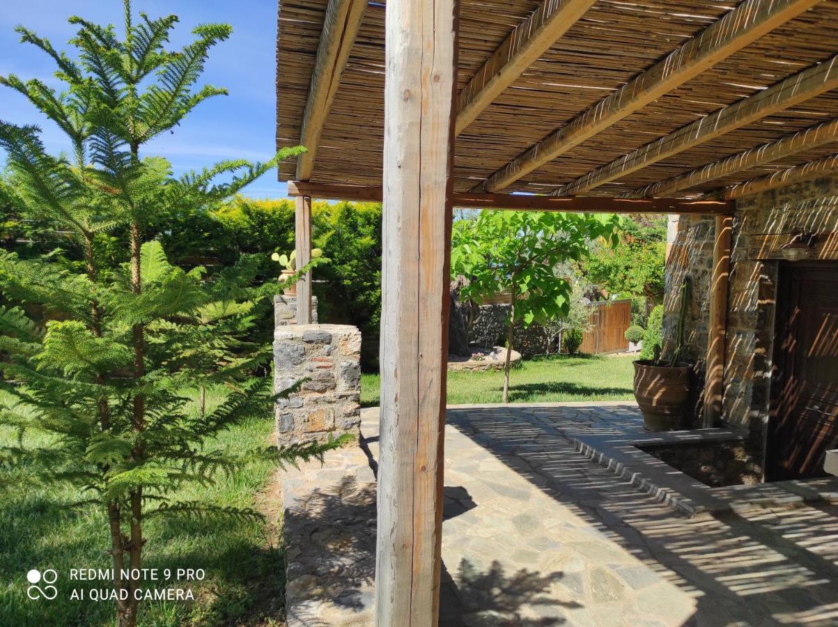 Evia Family House * Nerotrivia