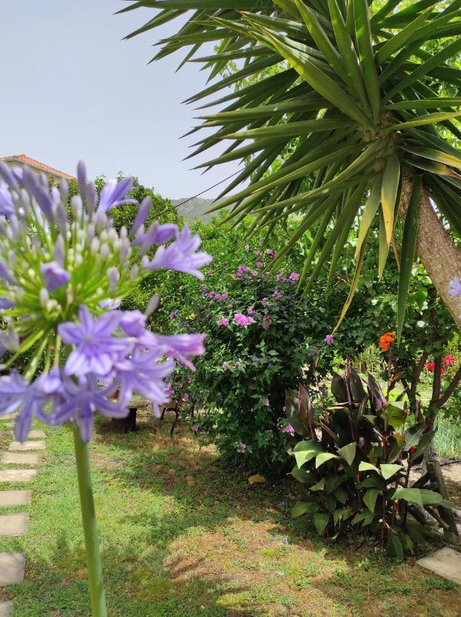Guest house Epavli Veneti 4*