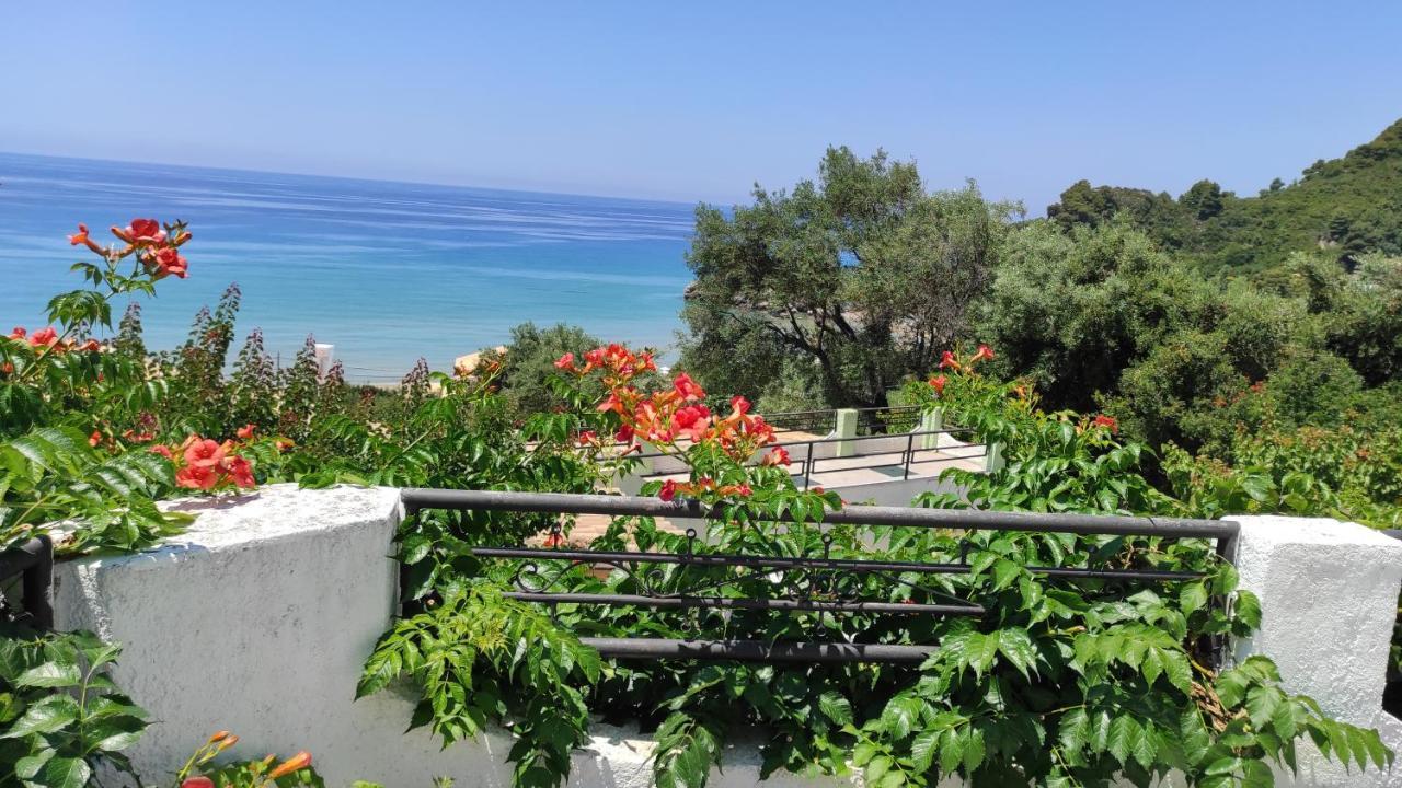 Apartment Akis