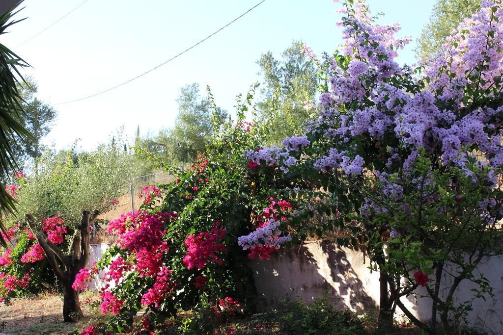 Manolia Trapezaki (Kefalonia)