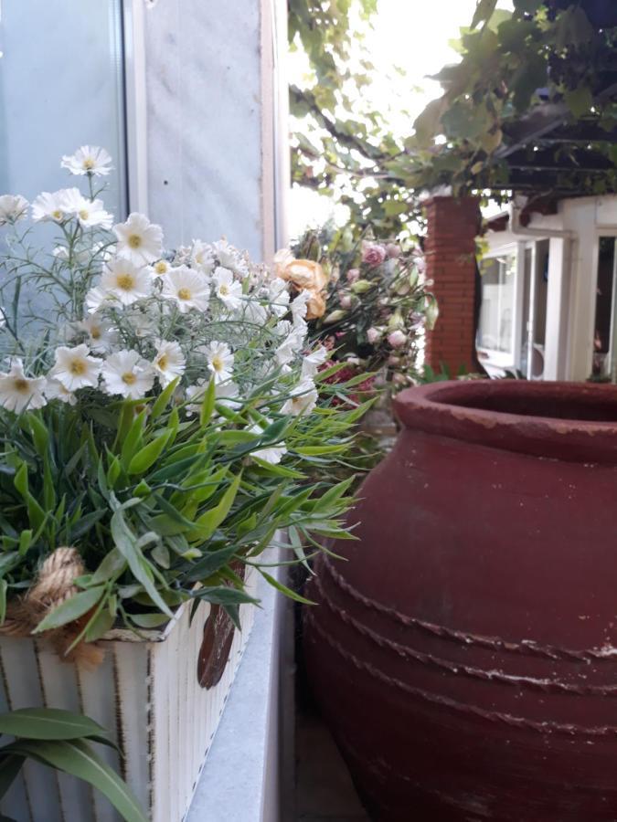Galini Limenas (Thasos)