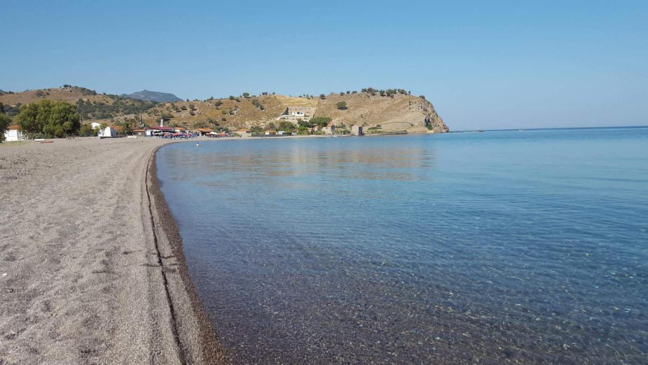 Aparthotel Anaxos Hotel