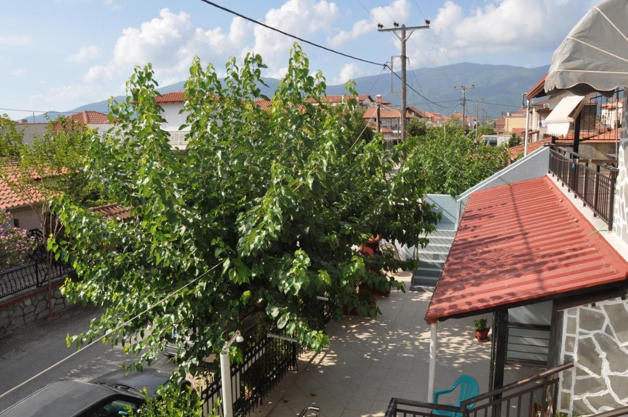 Guest house Sofia