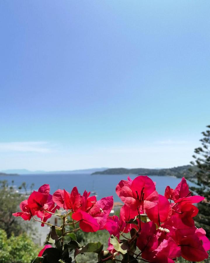 Anna Apartment Megali Ammos (Skiathos)