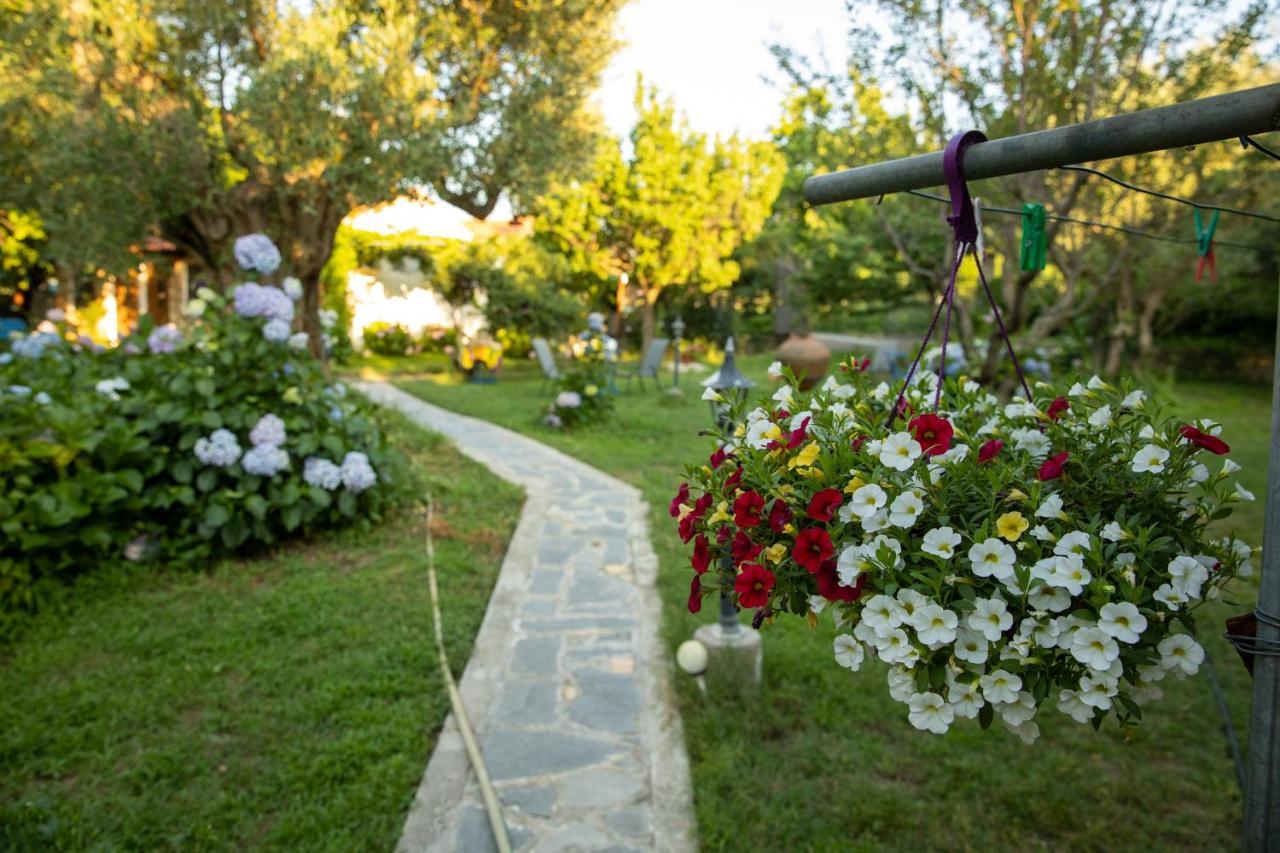 Hotel Alekas *