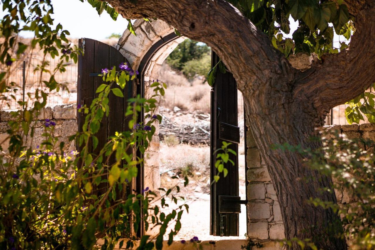 Villa Nikoletta Stylos Crete