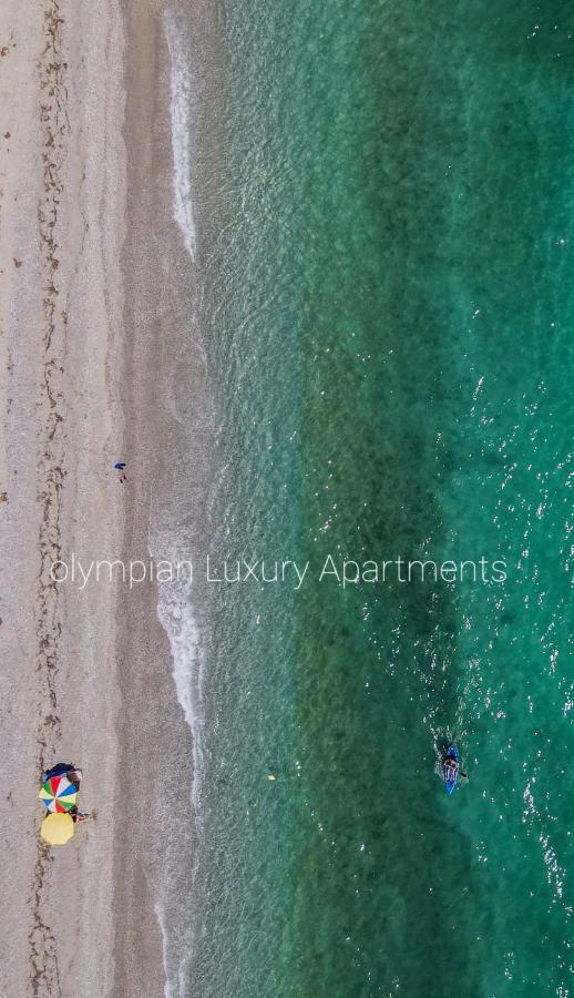 Apartment Olympian Luxury *
