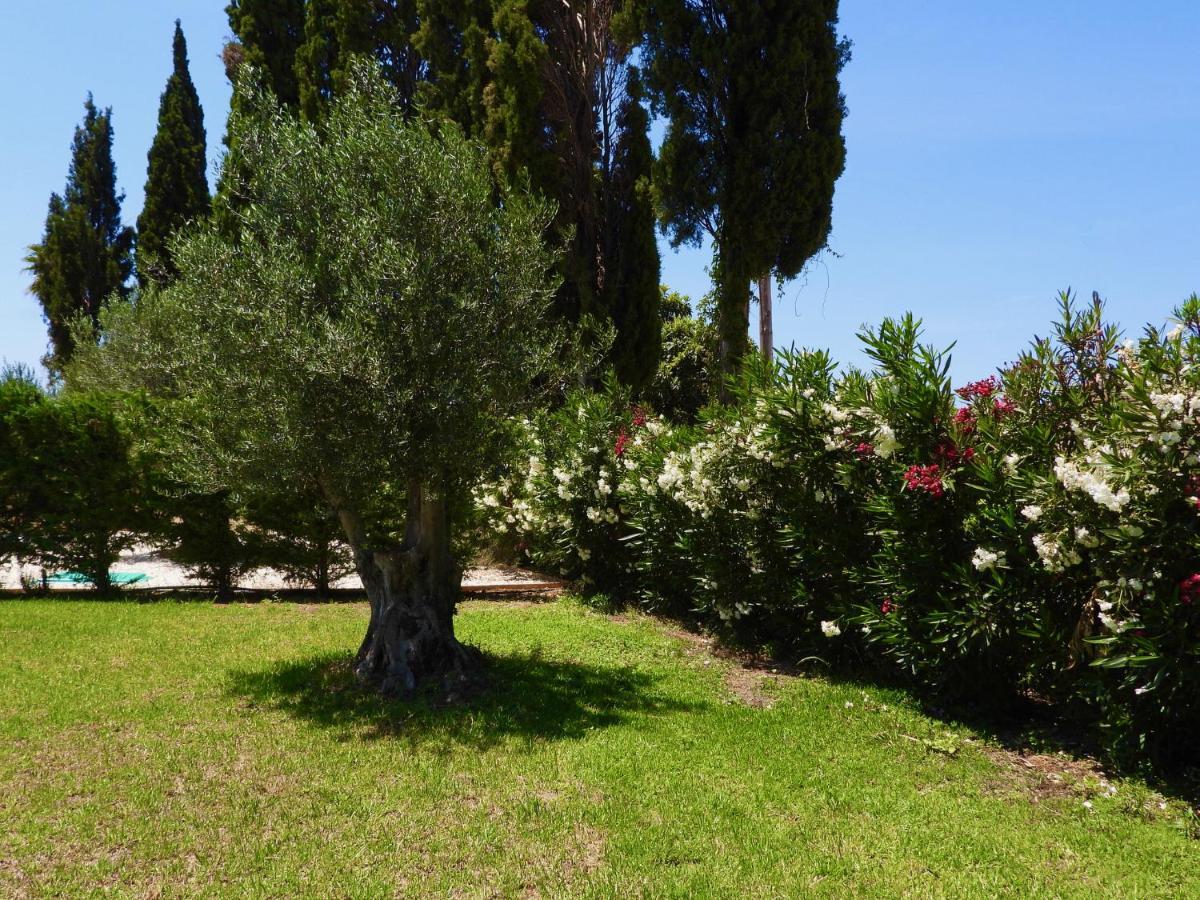 Cypress Garden