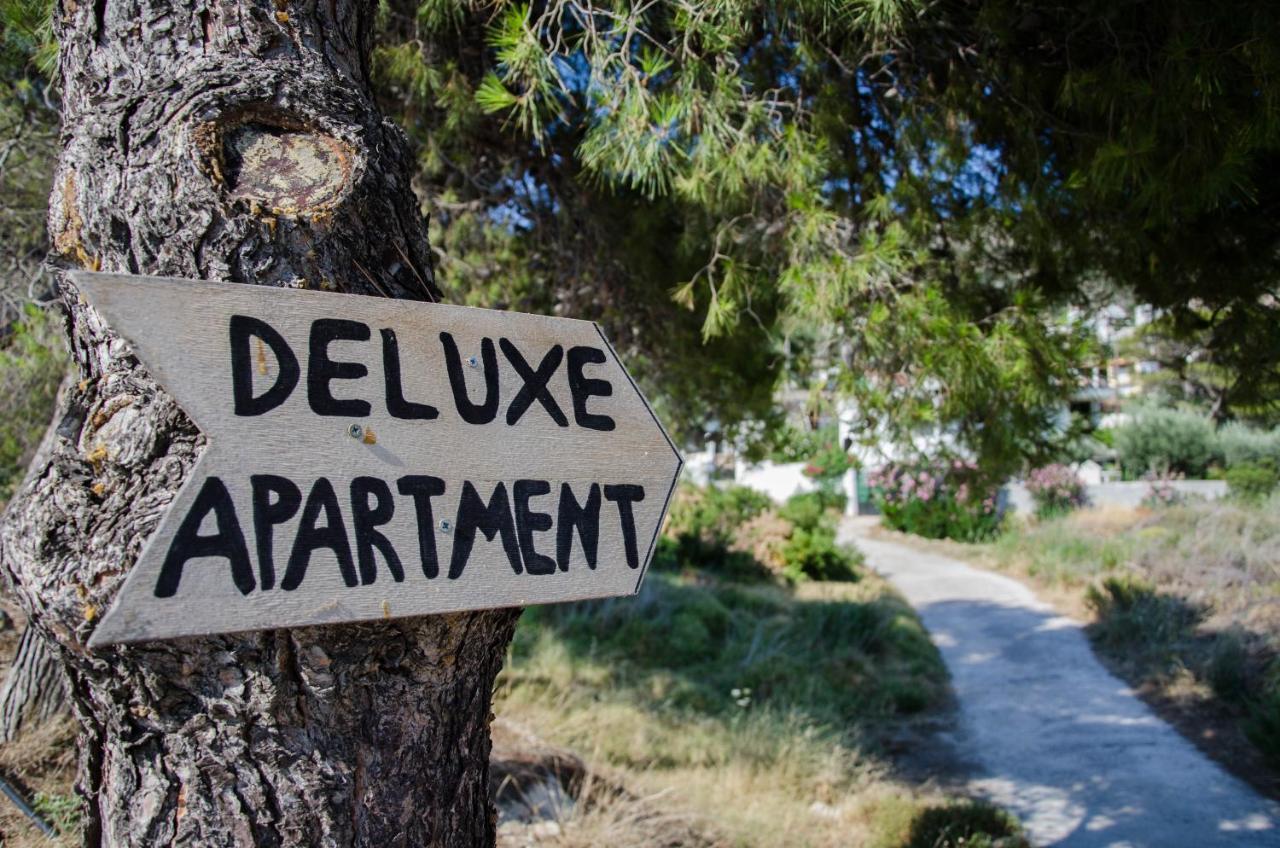 Deluxe Near The Airport Adults Only Apartment