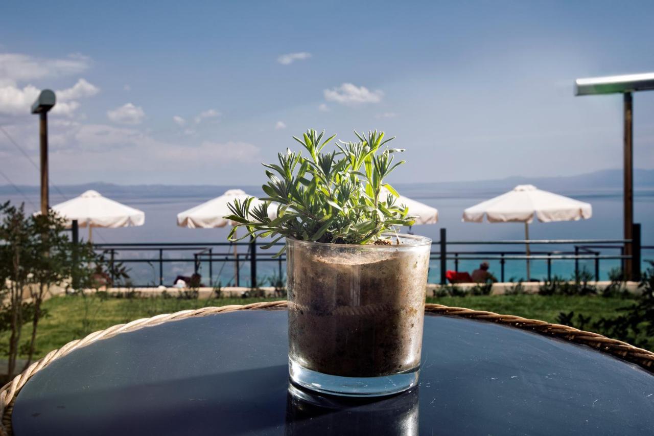 Rigas Boutique & Hotel