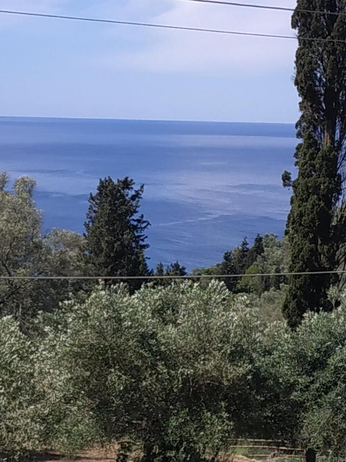Malibu