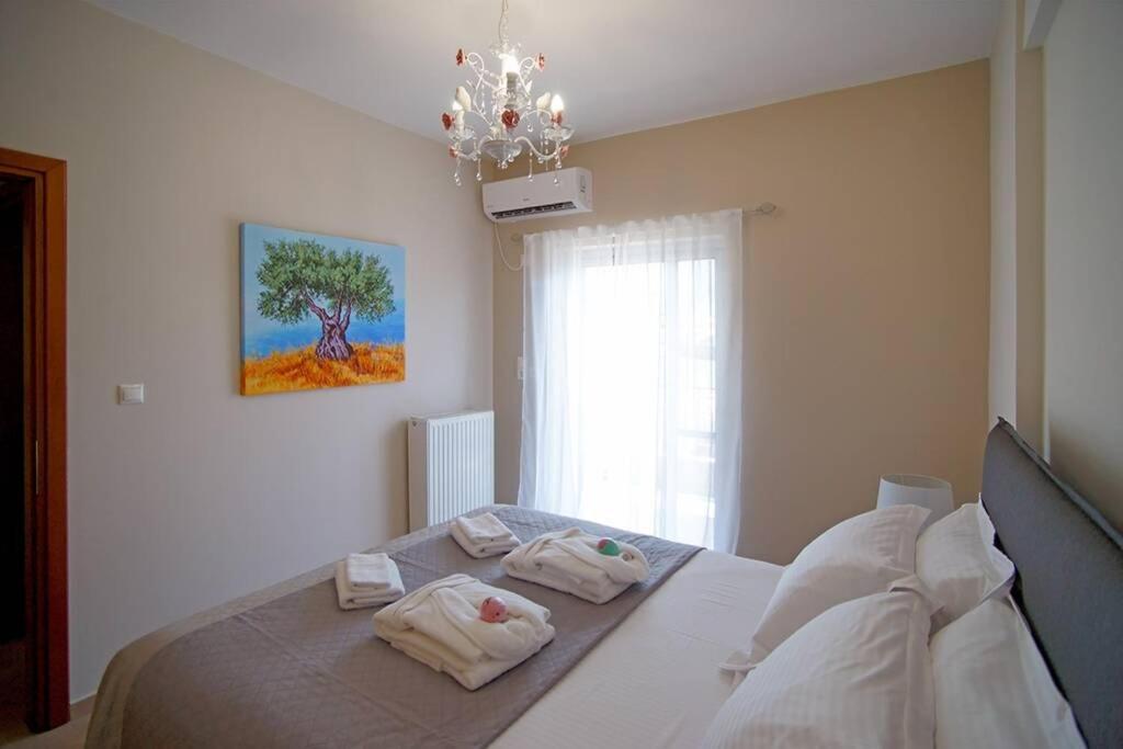 Luxury Apartment