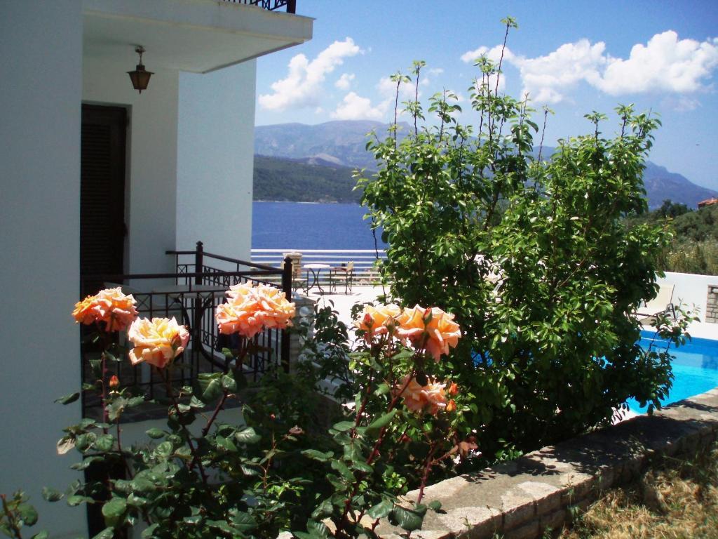 Scorpios & 3* Samos Town