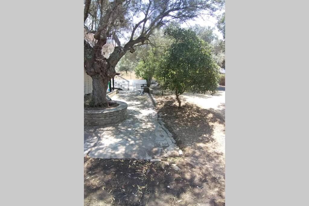 Nefolia Holiday home Vourvourou