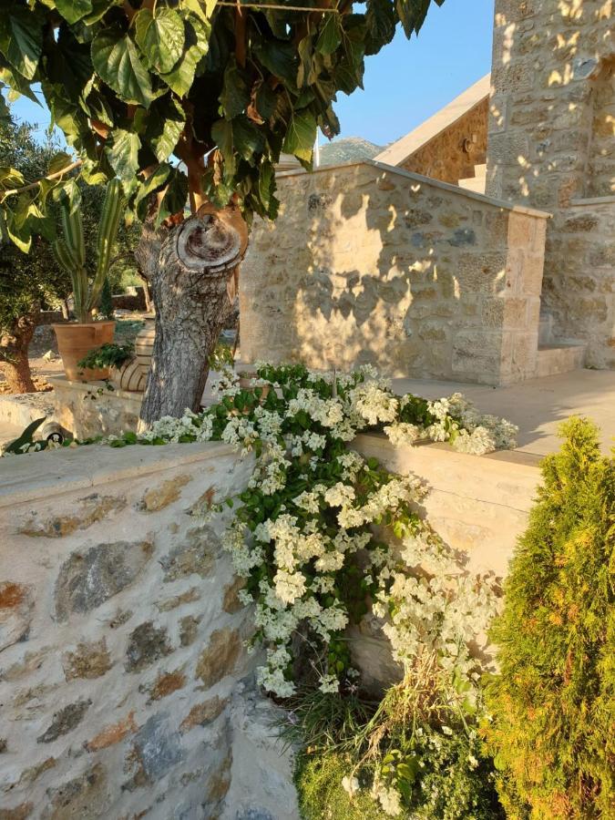The Mousehouse Homestay Riglia