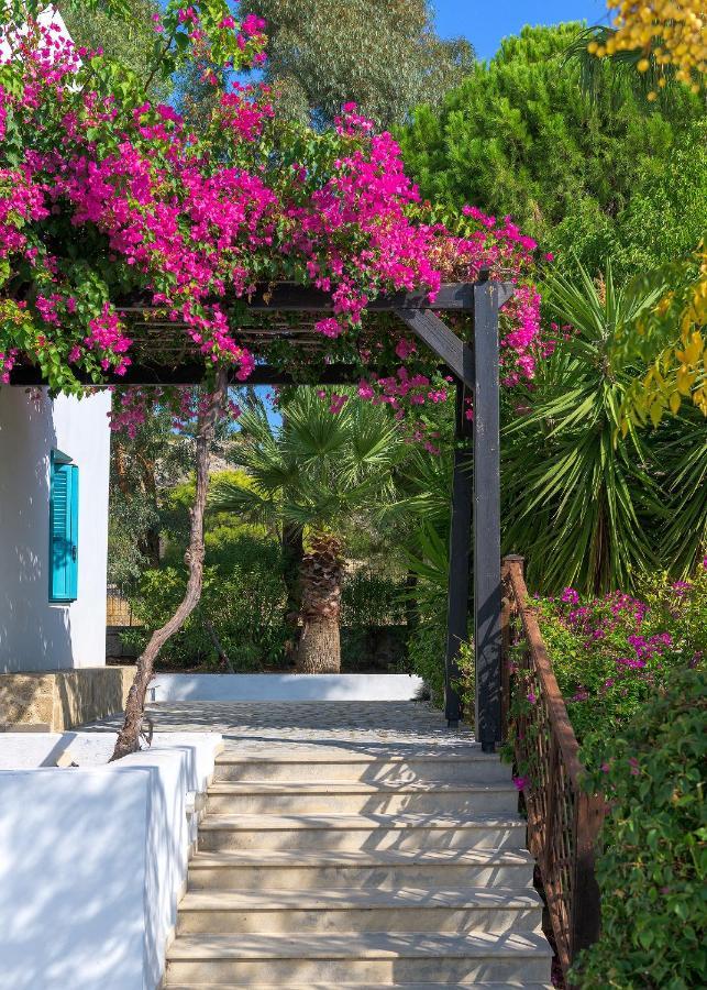 Mary's House Villa *