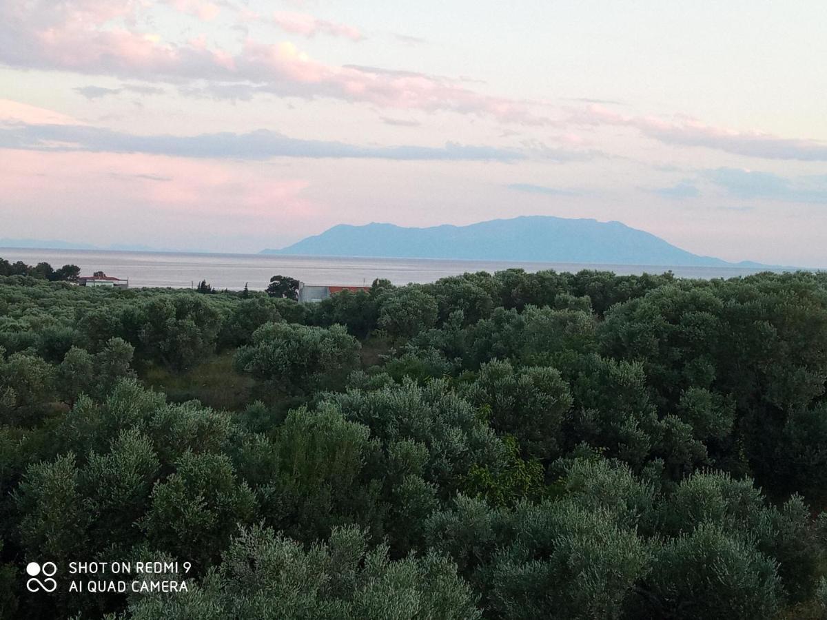 Bella-caza Makri