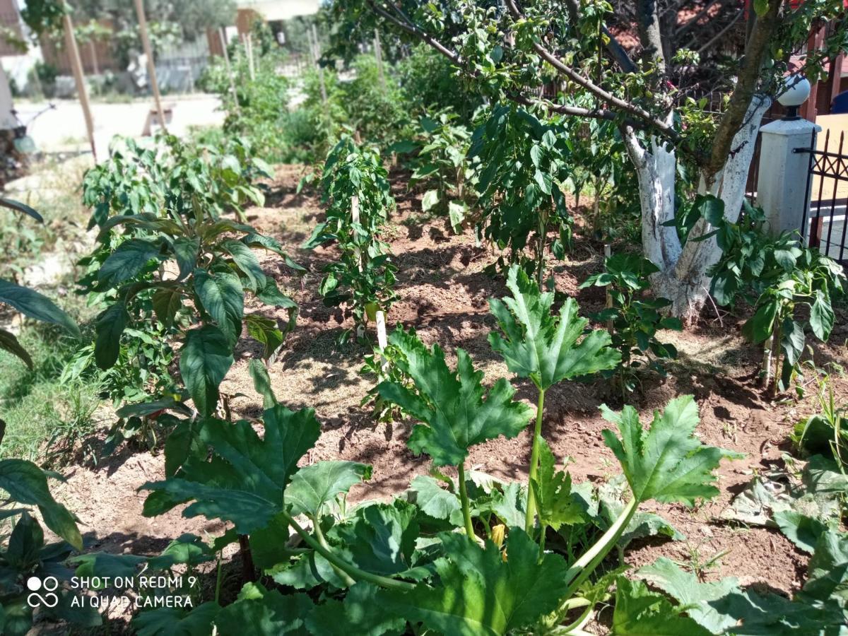 Apartment Bella-caza Makri