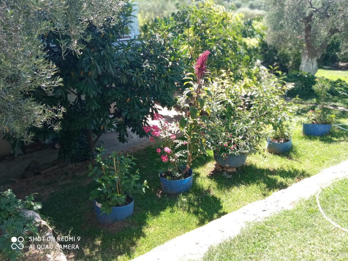 Bella-caza Makri