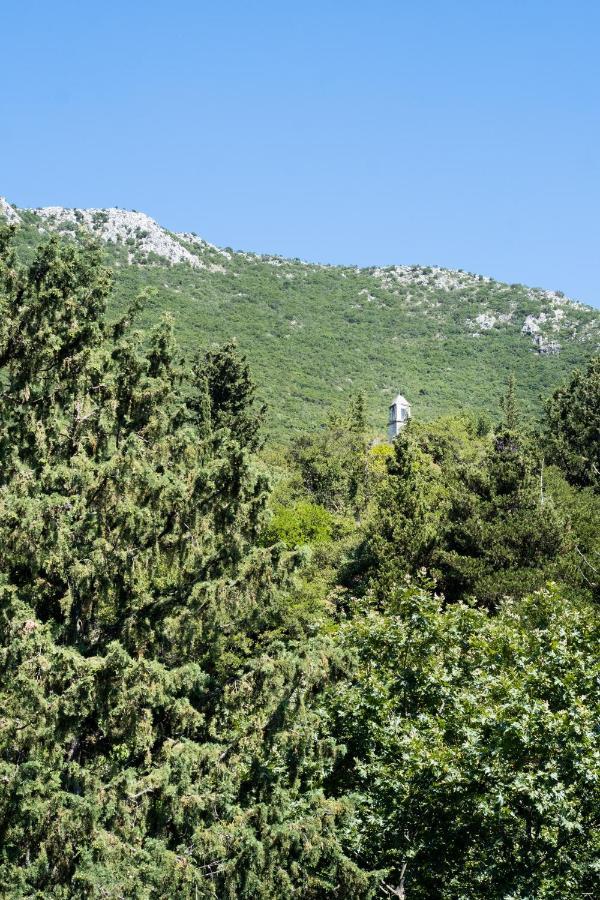 Holiday home La Olga Lefkada *