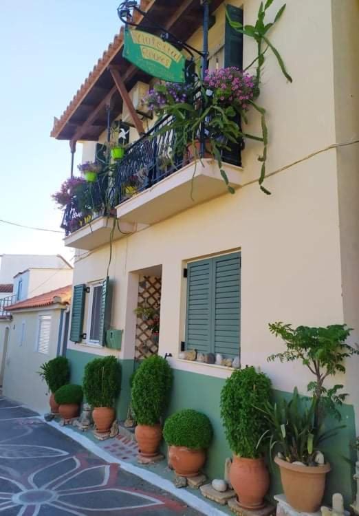 Violetta * Koroni (Messinia)