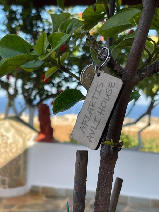 Avli House Holiday home *