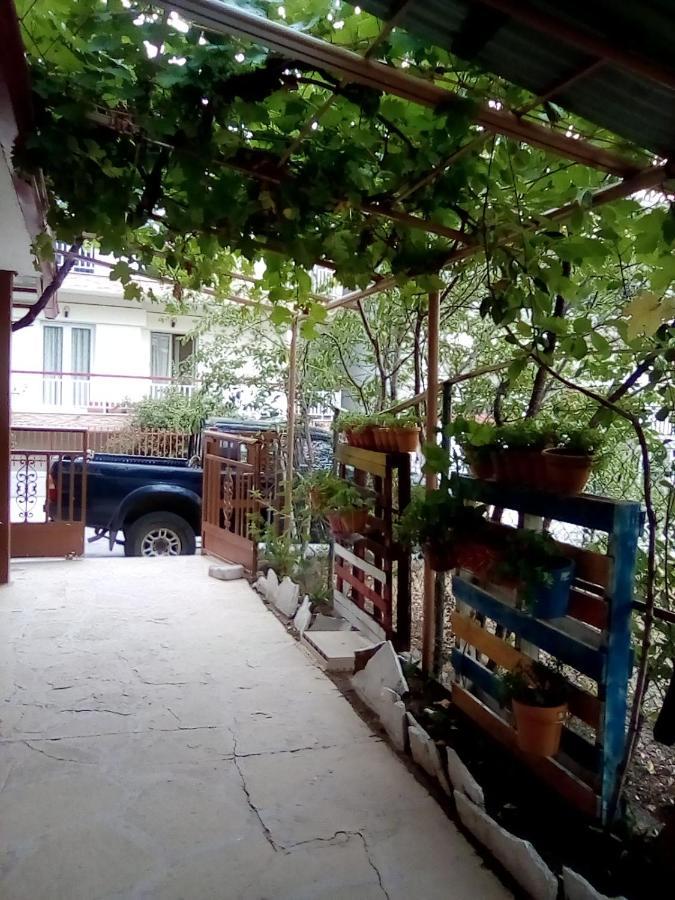 Homestay Stella Sunrise *