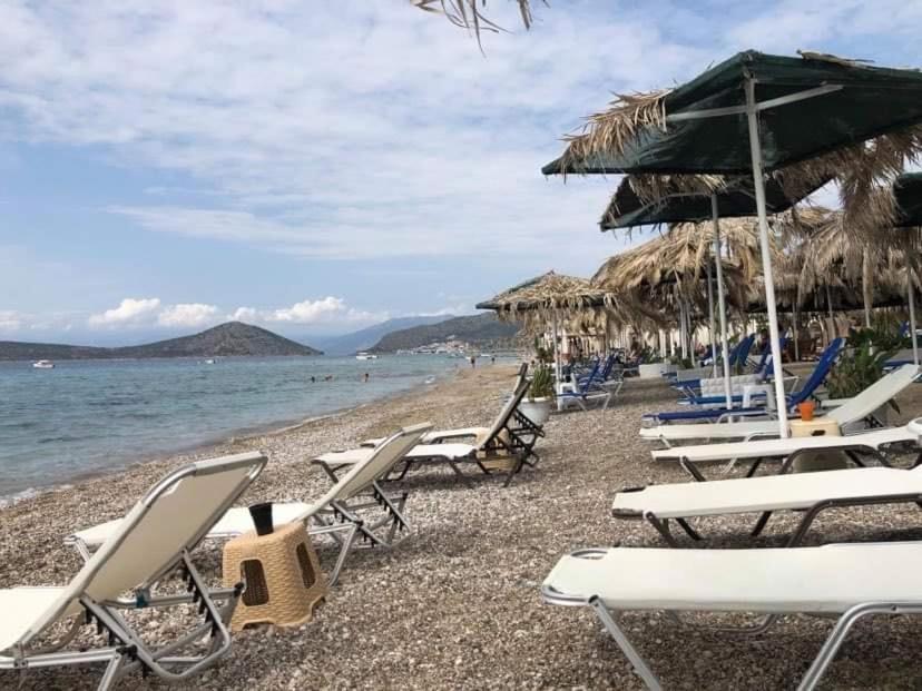 Of The Hill In Drepano-nafplio, Beautiful View Apartment *