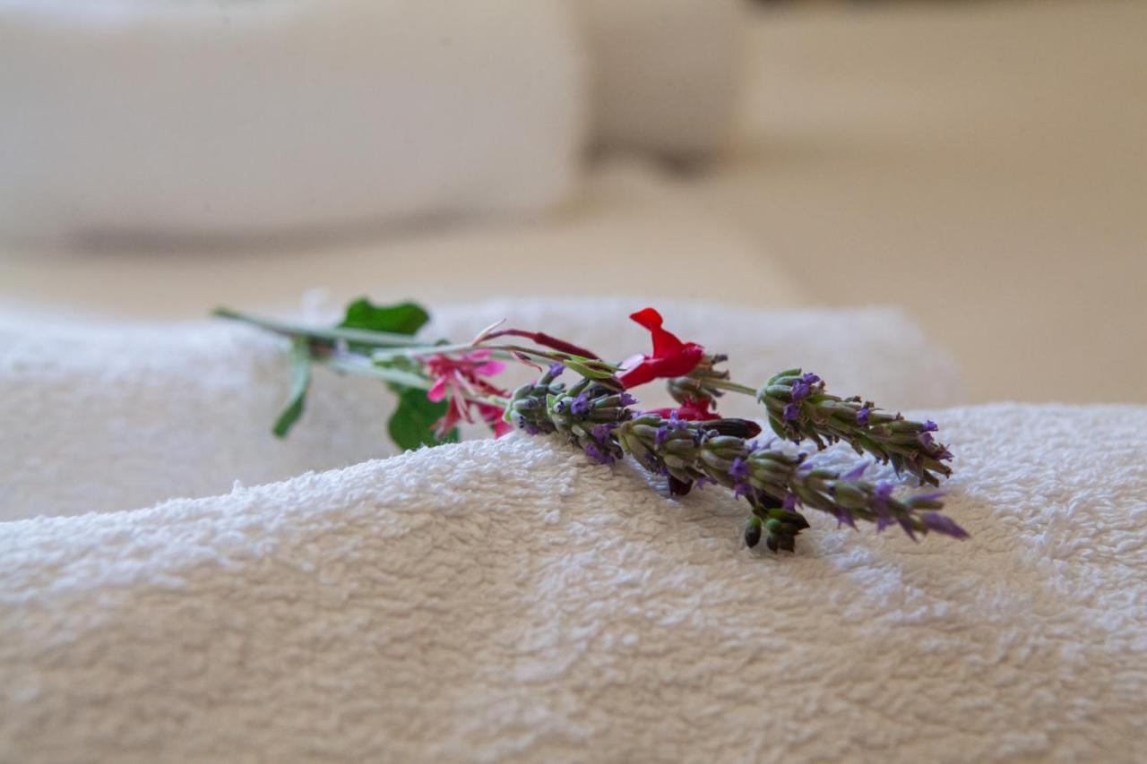 Hotel Loula And