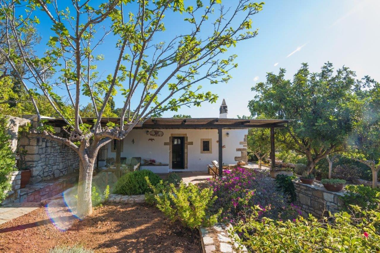 Country house Venus *
