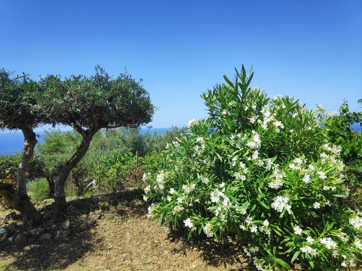 Vardia-amazing Seaviews With Heated Pool * Sinarades