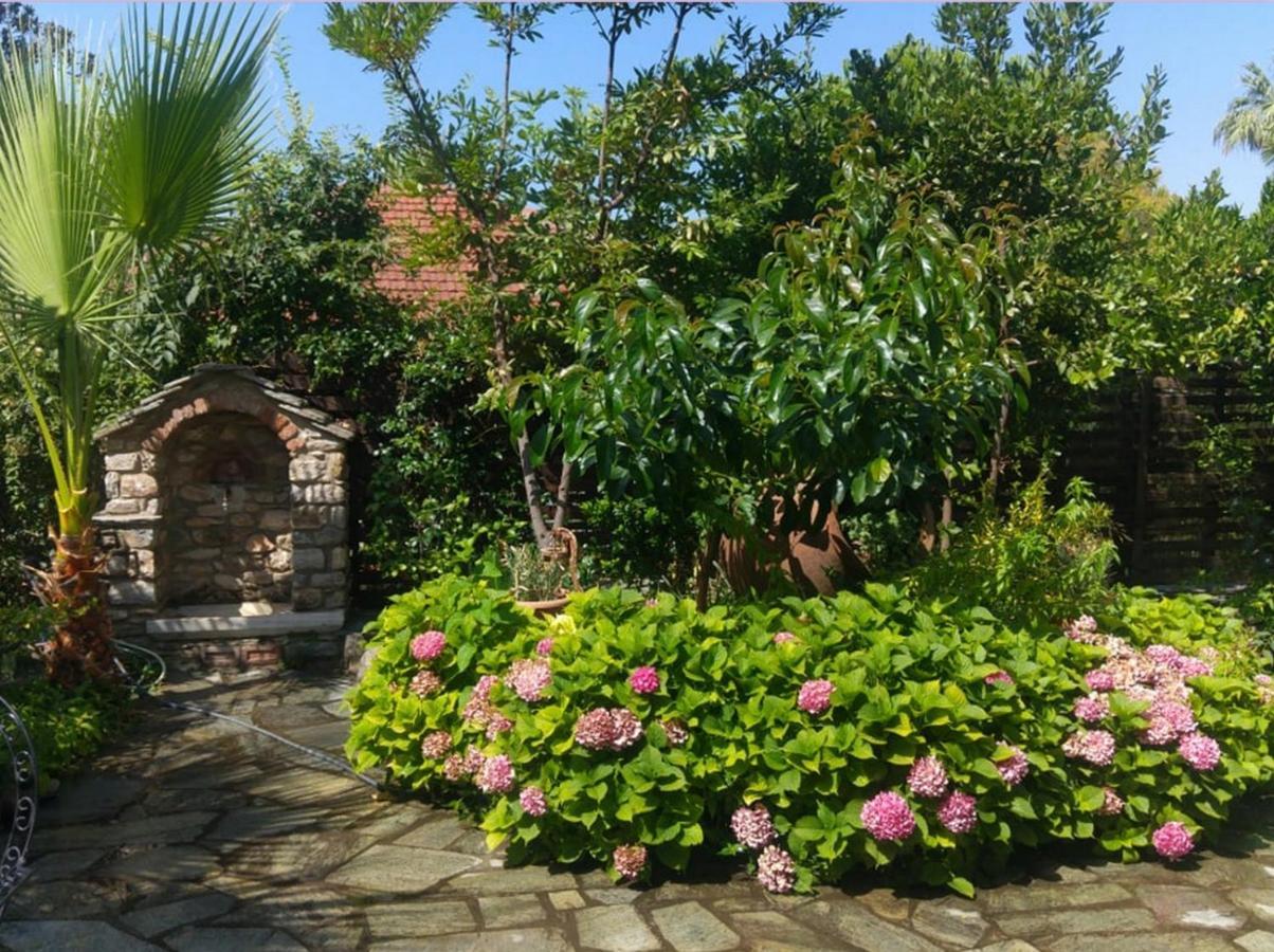 Archontiko Tsaknaki Manolia Guest house