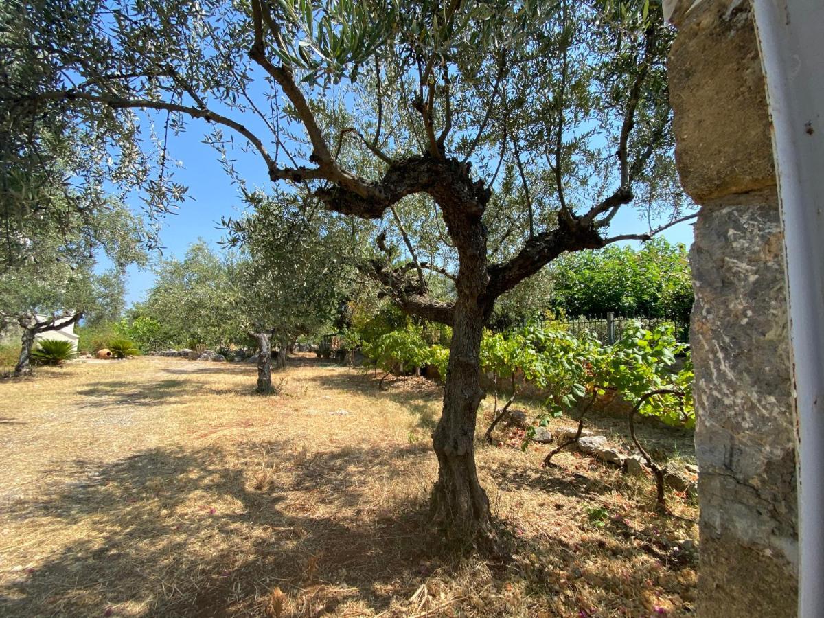 Villa Ventana *