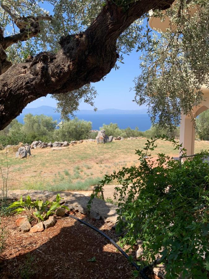 Villa Ventana Megali Mantineia