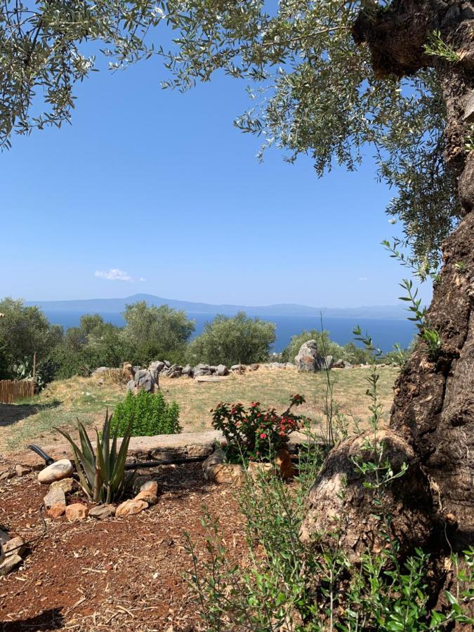 Ventana Megali Mantineia