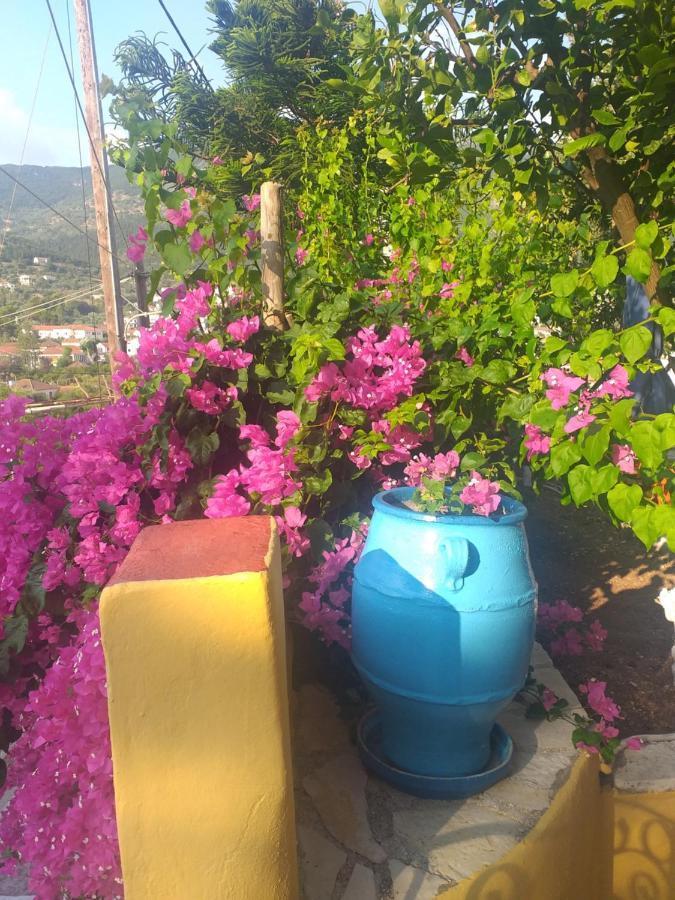 Eleni Guest house