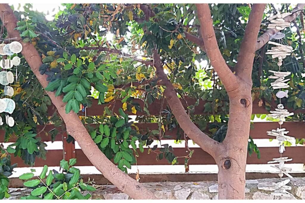 Of The Hill In Drepano-nafplio, Beautiful View Apartment Drepano (Argolis)