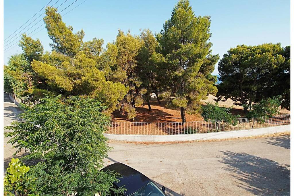 Of The Hill In Drepano-nafplio, Beautiful View *