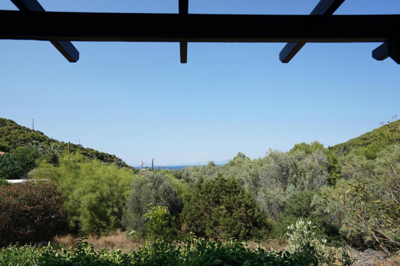 Villa Xenia&akis Athens