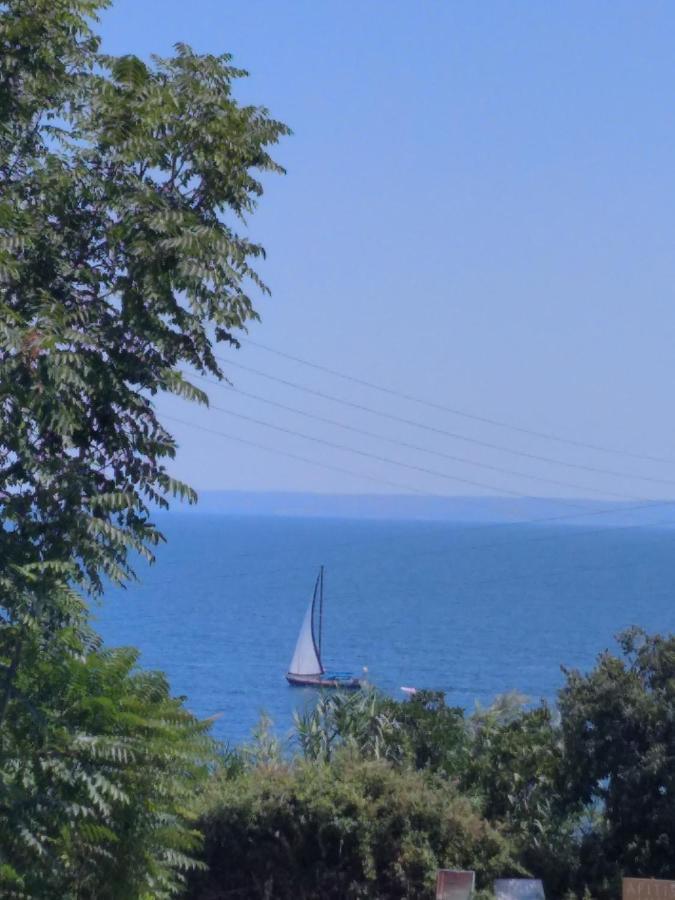Arellis Aparthotel