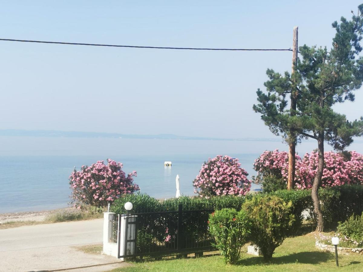 Apartment Metamorphosis - Halkidiki On The