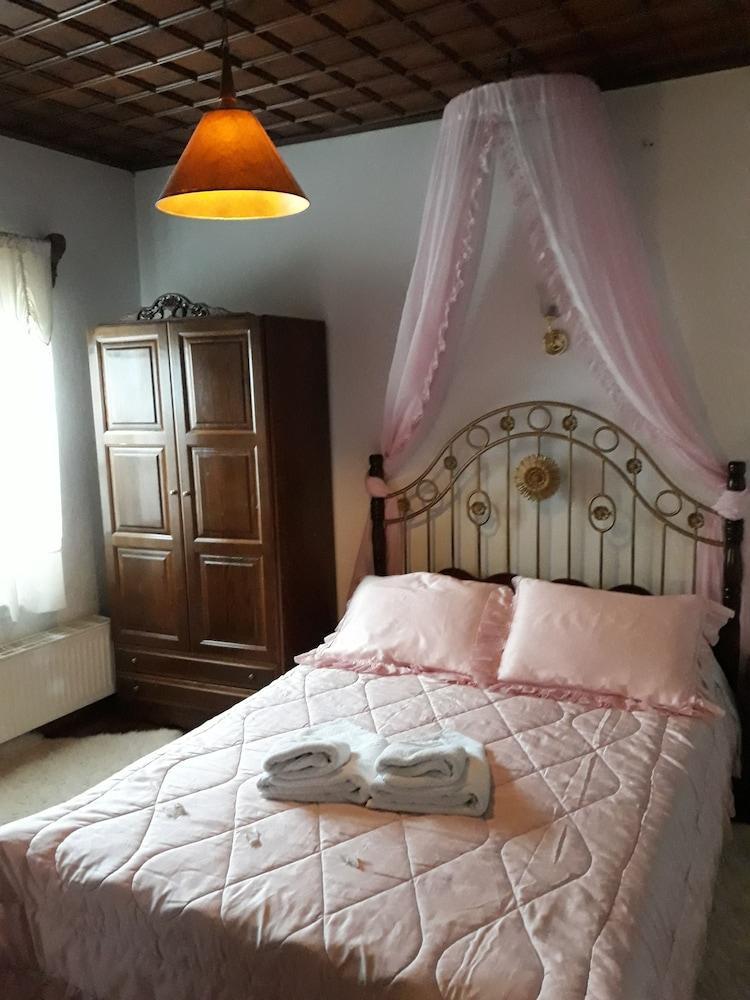 Guest house Mansion Theodora