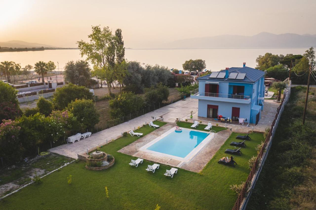 Olive Tree Apartment *