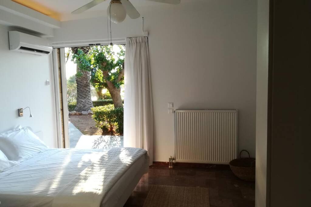 Pine Tree Beachfront Villa Drosia (Central Greece)