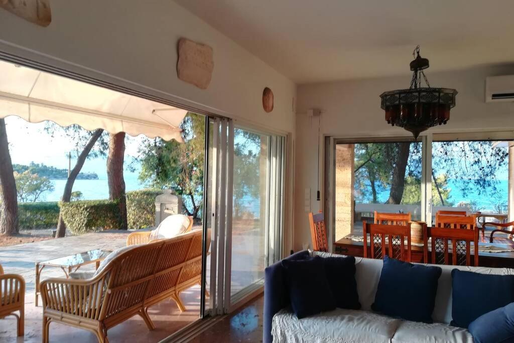 Pine Tree Beachfront * Drosia (Central Greece)