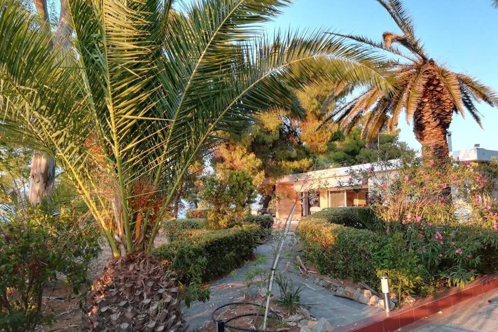 Villa Pine Tree Beachfront *