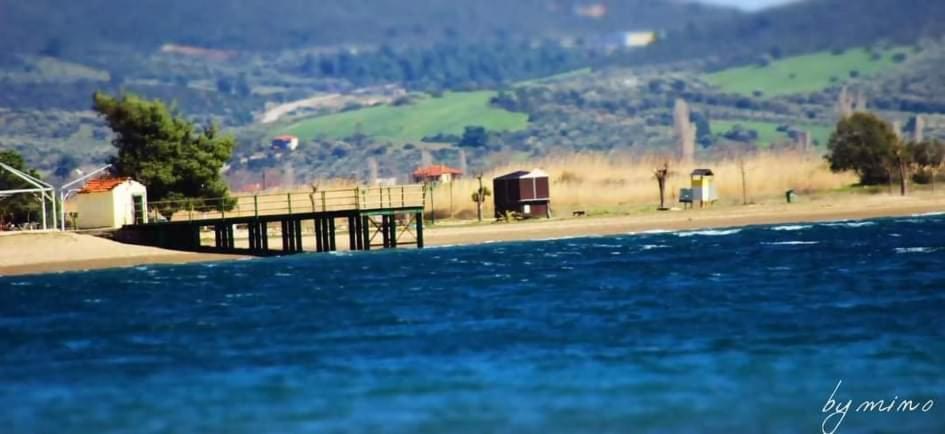 Apartment Pefkonas 100 M From The