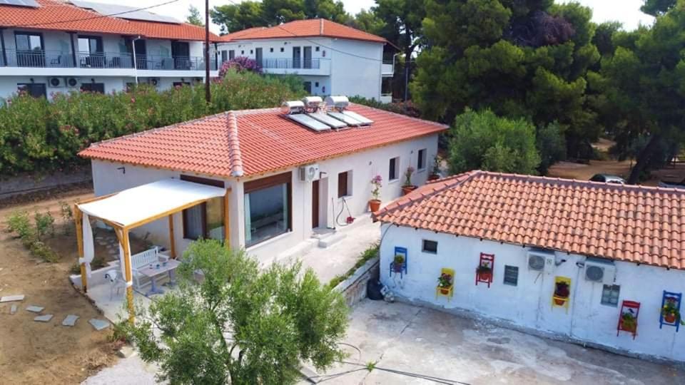 Pefkonas 100 M From The Apartment *