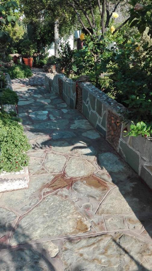 Luxury Cozy With Garden Near The Sea Villa *