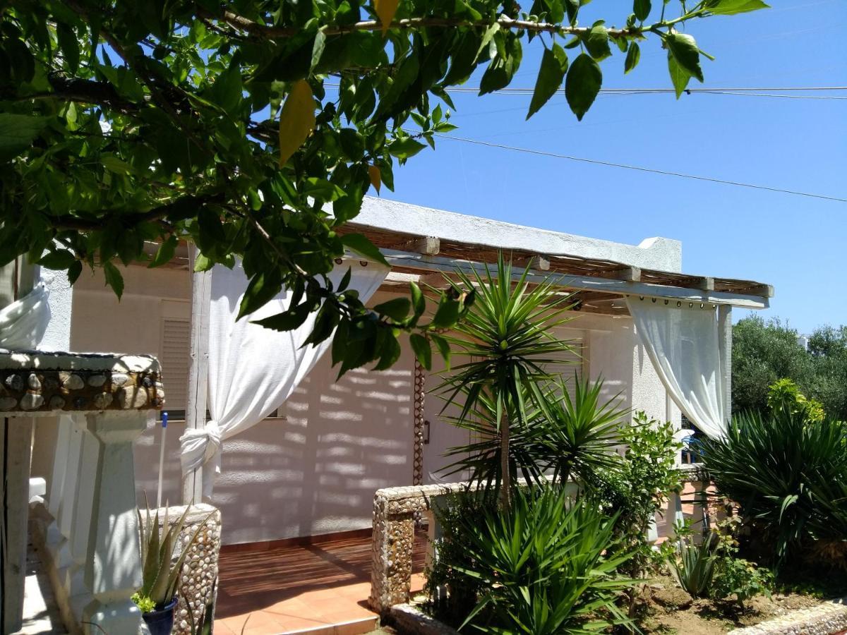 Villa Luxury Cozy With Garden Near The Sea